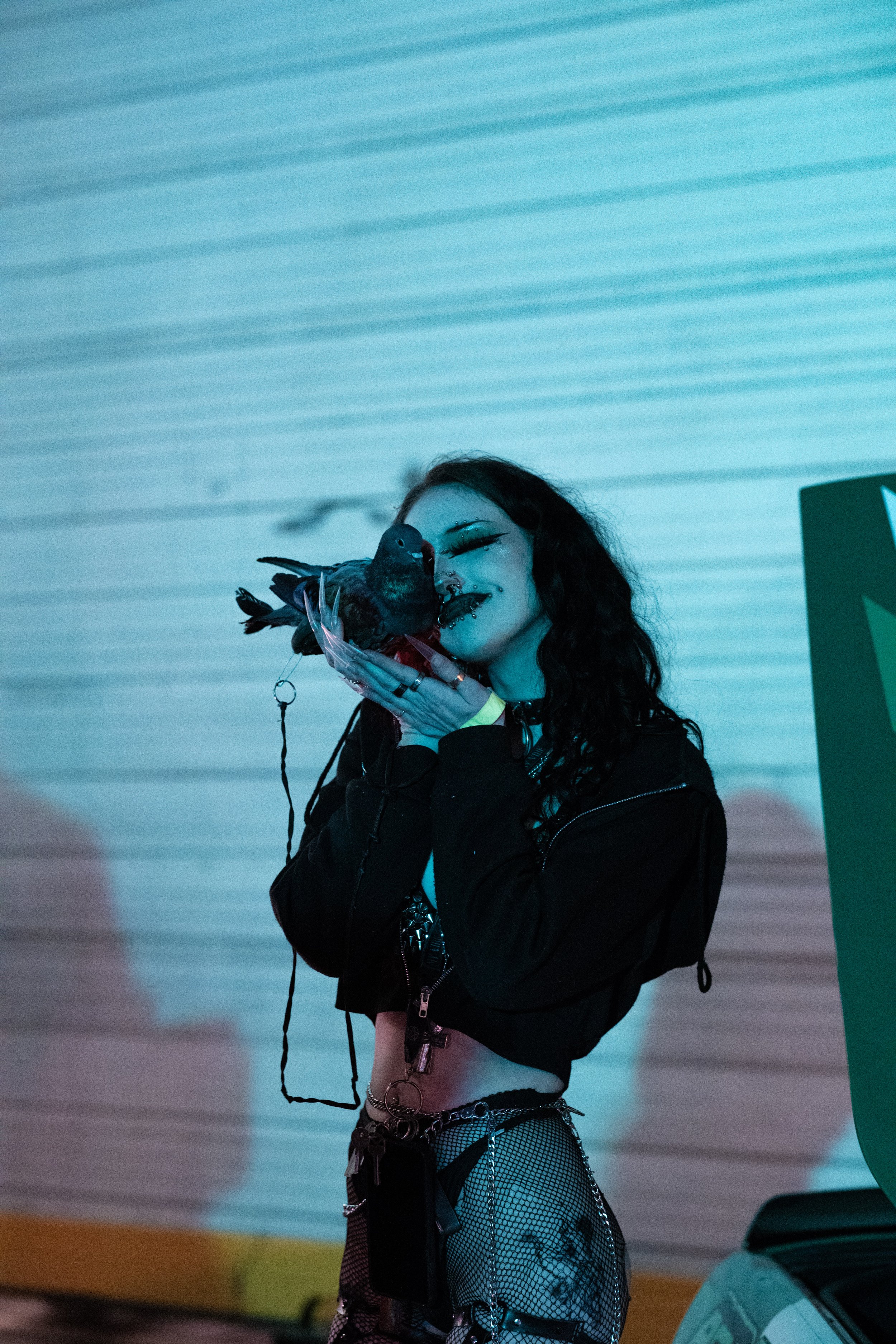 Project P courtside energy